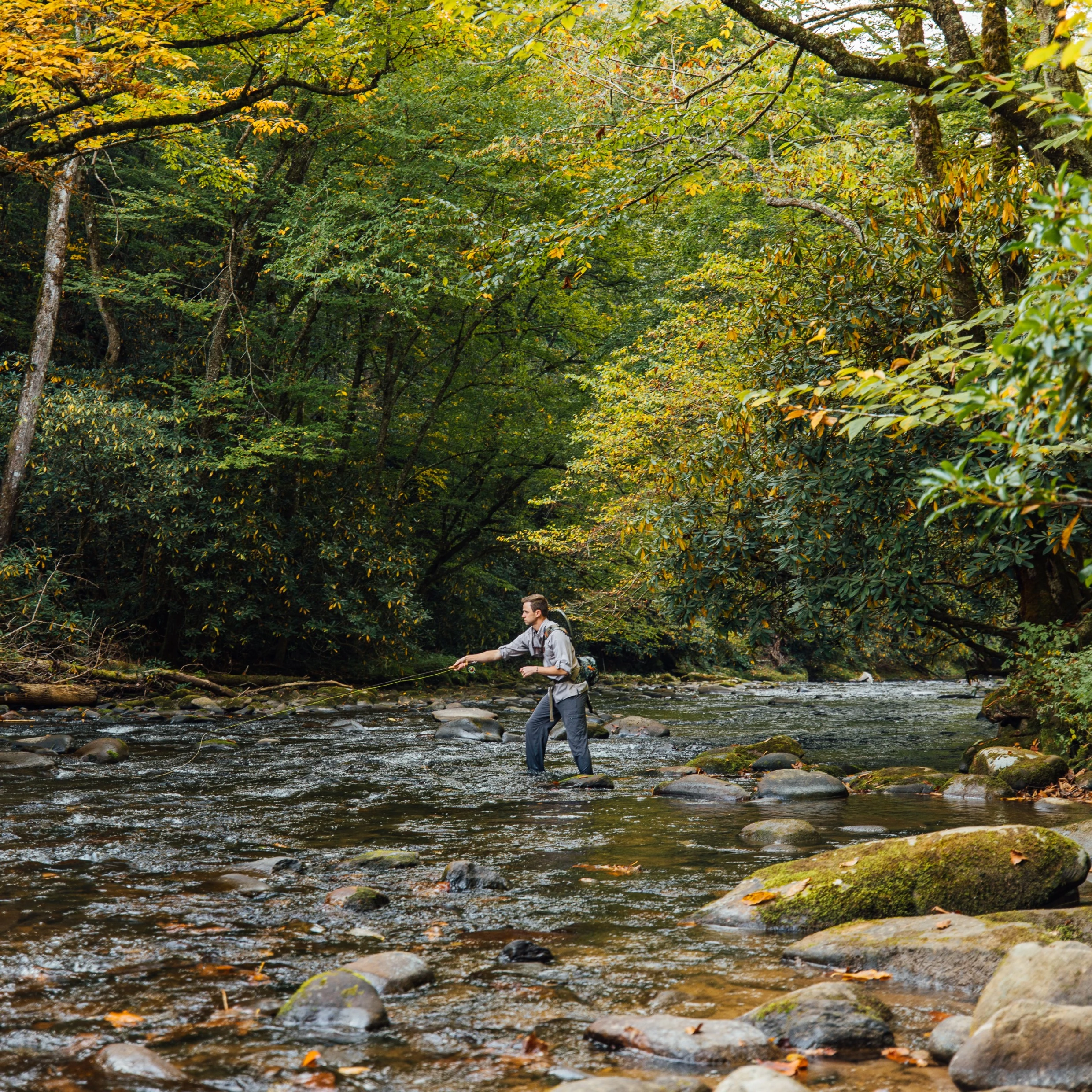 A fly fisherman casts while standing in a rocky mountain stream surrounded by early autumn forest.